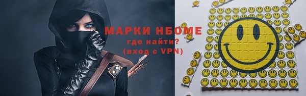 прущие грибы Балабаново