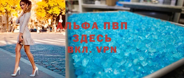 прущие грибы Балабаново