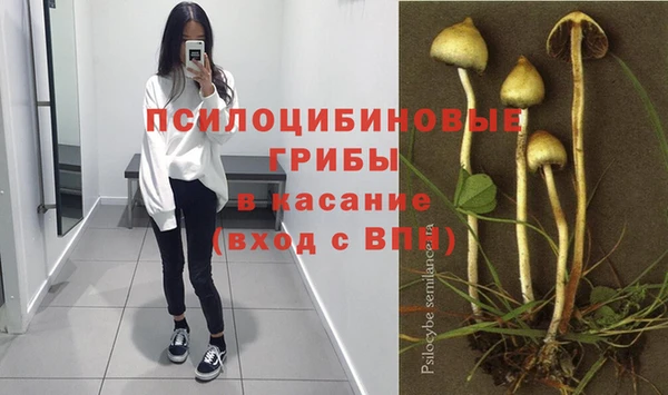 эйфоретик Беломорск