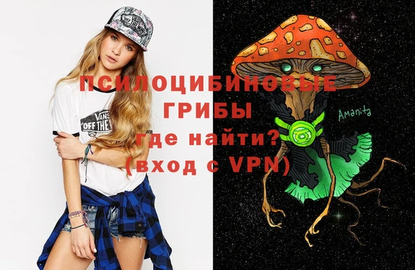 прущие грибы Балабаново