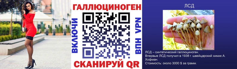 блэк спрут зеркало Гай Галлюциногенные грибы ЛСД как найти закладки