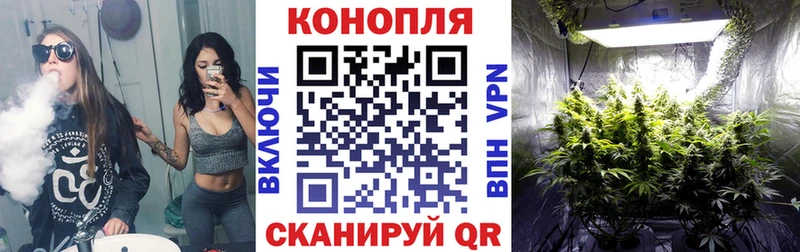 kraken ONION  Гай  Бошки Шишки ГИДРОПОН 